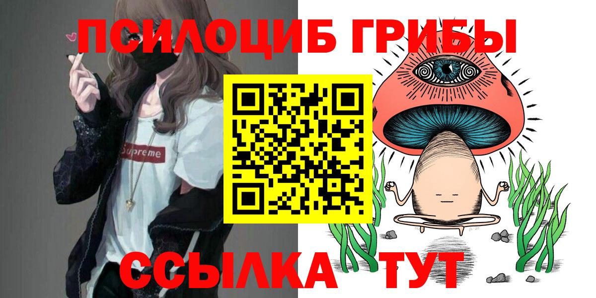 Галлюциногенные грибы прущие грибы  Галлюциногенные грибы MAGIC MUSHROOMS  Гурьевск  Вход с VPN 